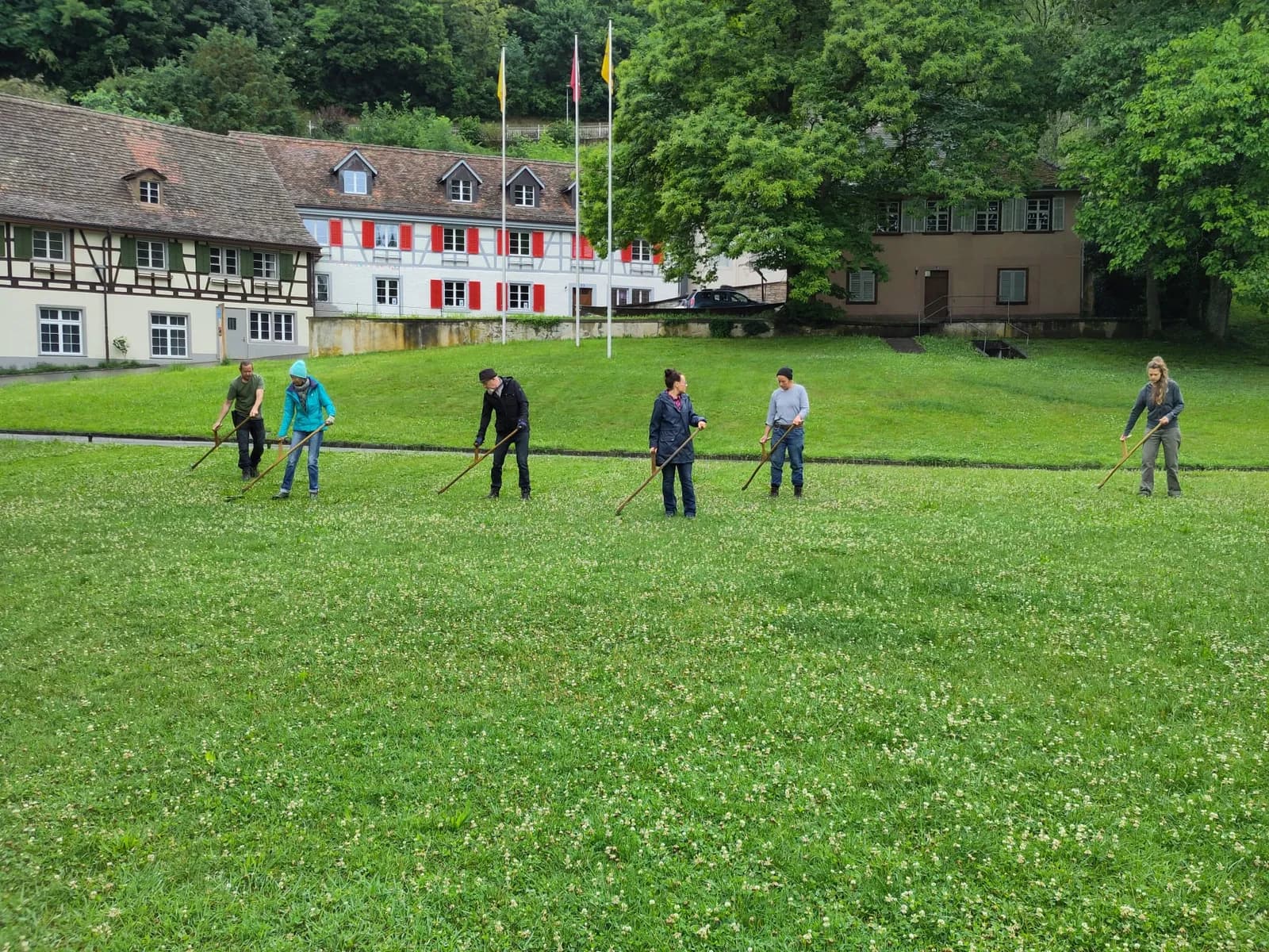Kursgruppe beim Mähen mit der Sense vor der Halde am Rheinfall